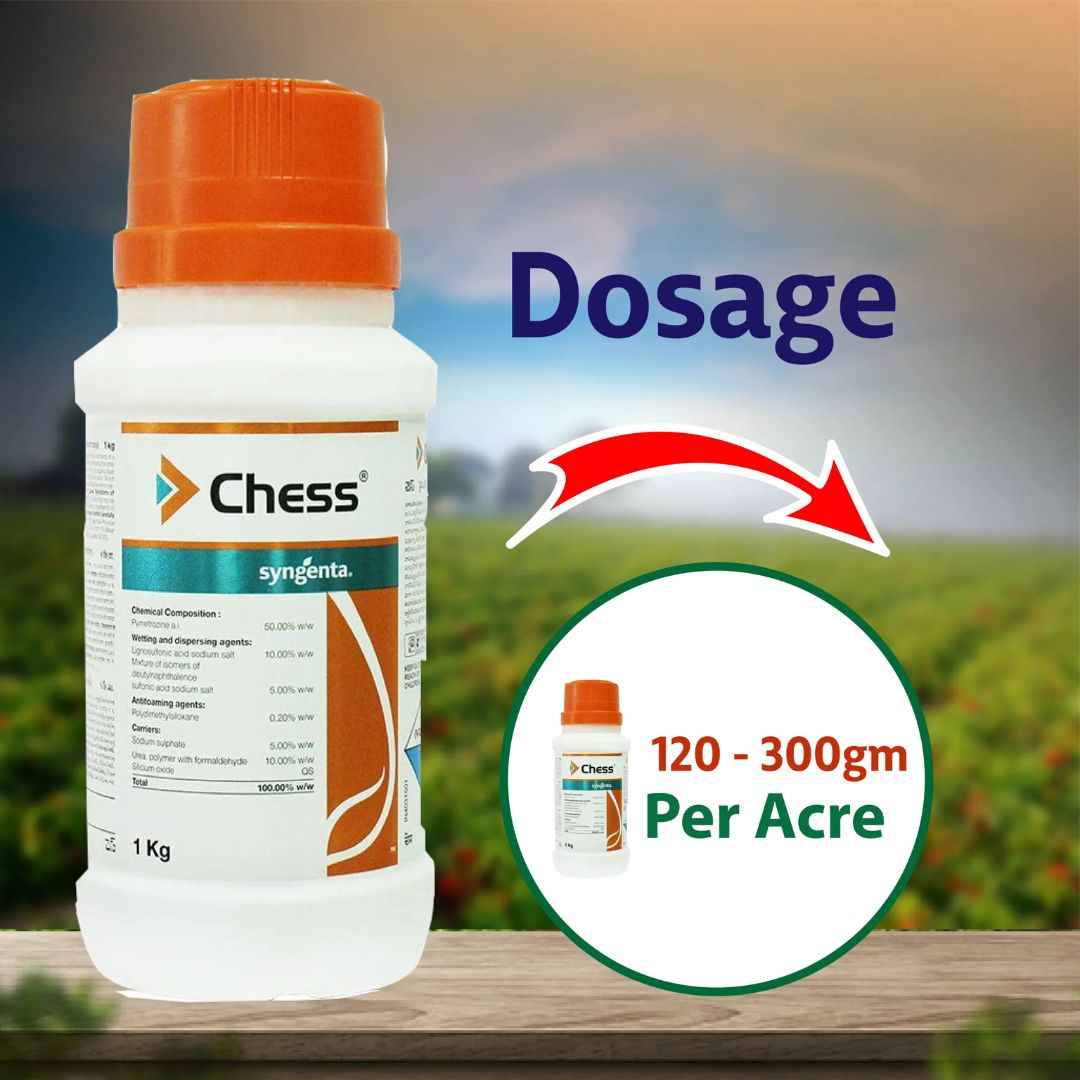 Syngenta Chess Insecticide – Powerful Brown Plant Hopper (BPH) Control for Paddy Crops