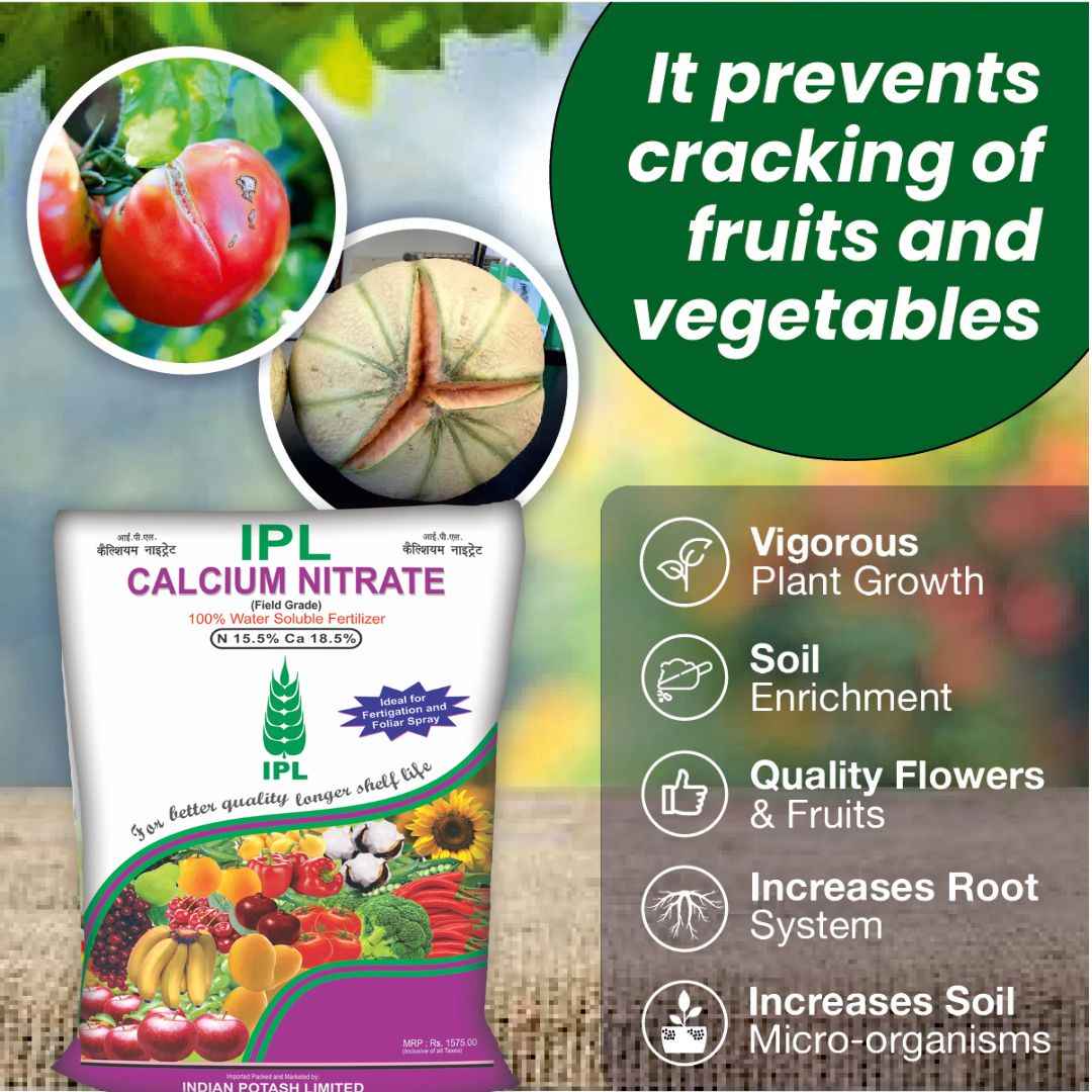 IPL Calcium Nitrate – Water Soluble Calcium & Nitrogen for Garden and Field Crops