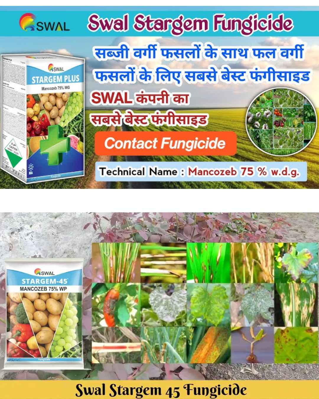 SWAL Stargem-45 Fungicide – Mancozeb 75%