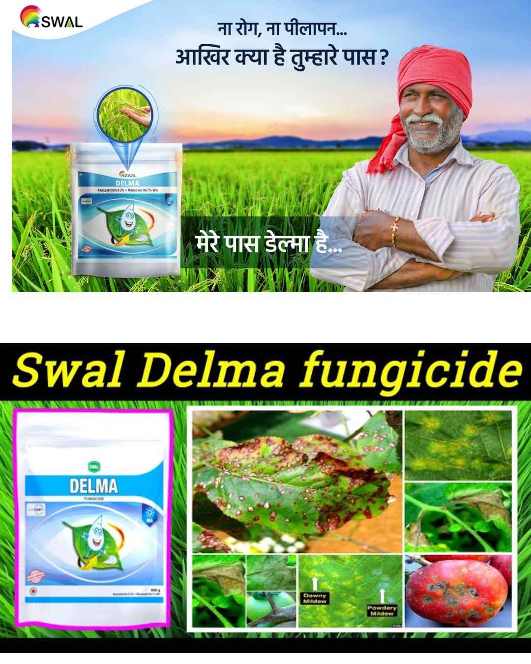 SWAL Delma 1.200Kg Fungicide –(Azoxystrobin + Mancozeb WG)