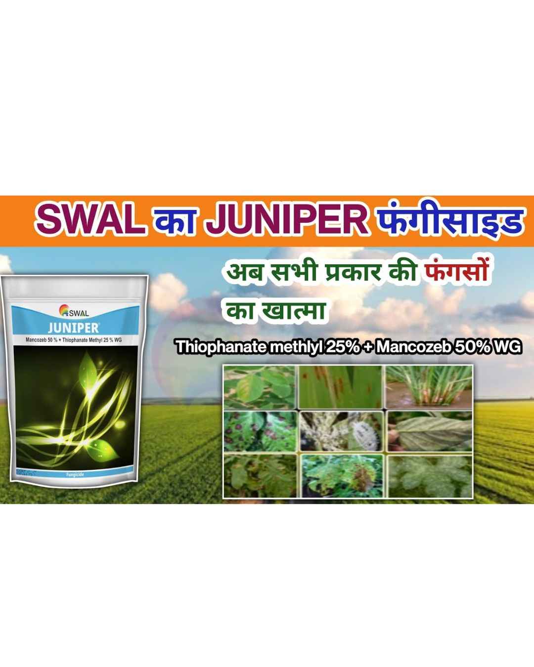 SWAL Juniper Fungicide | Broad Spectrum Disease Control for Crops