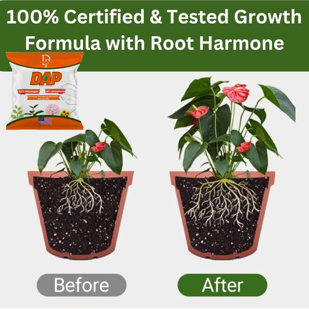 Dashmesh - All Purpose Bio DAP Fertilizer for Home Plants & Gardening Purpose - 100% Water Soluble Fertilizer (100Gram) - Dashmesh Pesticides