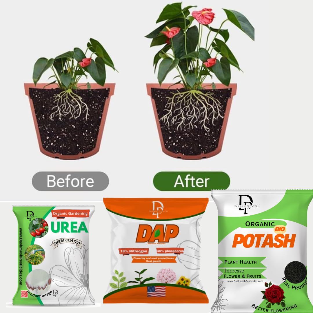 Dashmesh Organic Garden Fertilizer Kit, for Garden Plant Growth, 3 Pack - Dashmesh Pesticides