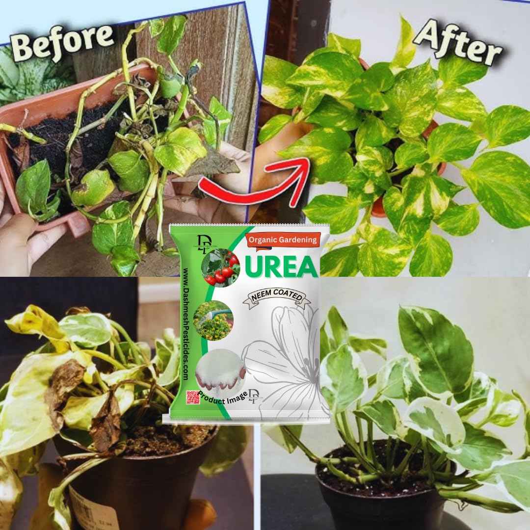 Urea Fertilizer for Garden Plants (N46%)